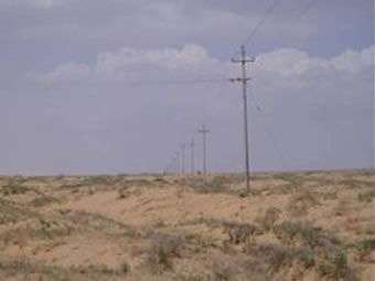腾格里沙漠东缘生态治理示范区