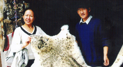 立体模式的新疆野生雪豹的可持续性保护