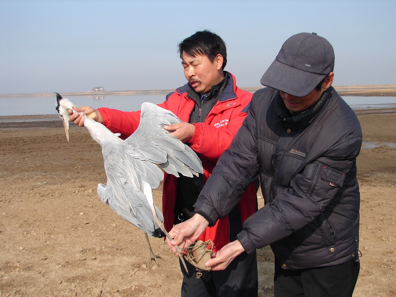 安庆市菜子湖湿地生态保护协会