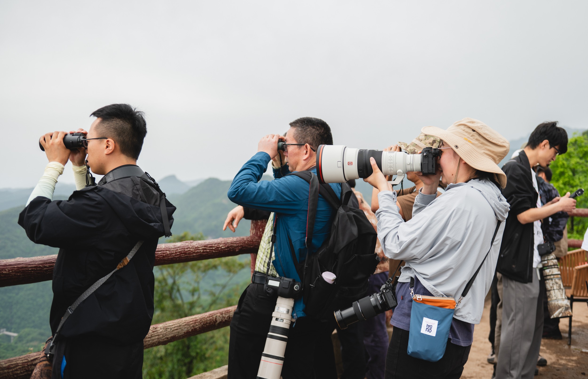 龙门山迁徙猛禽生态旅游项目