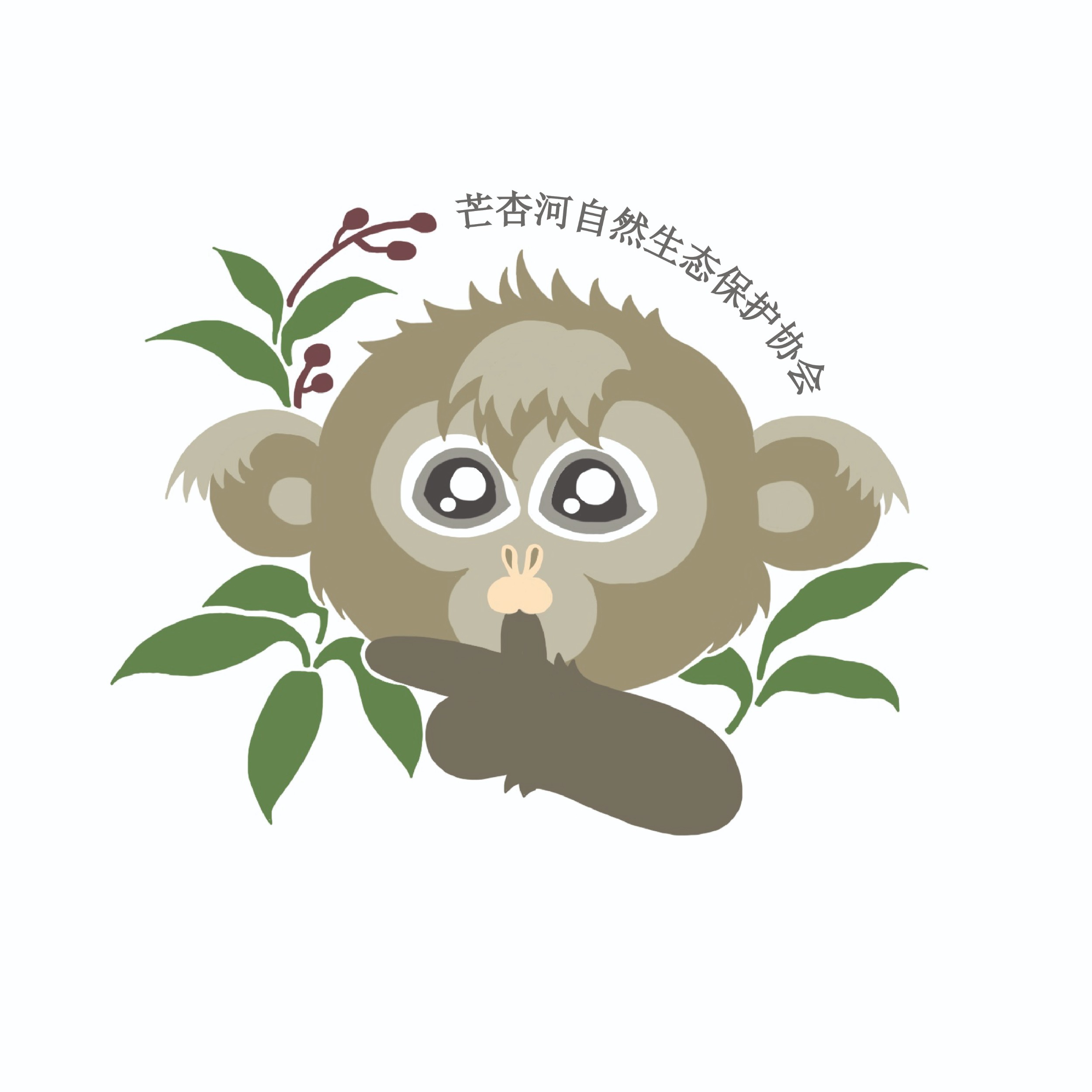 中缅灰叶猴公益保护地主题生态旅游升级