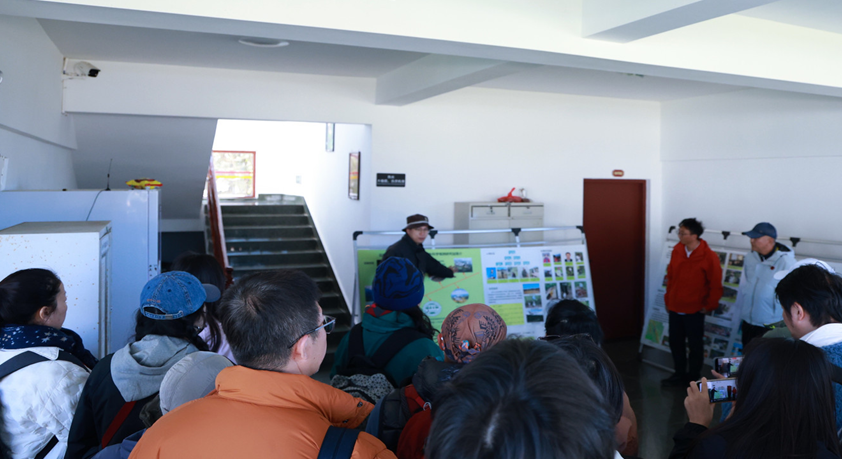 无量山长臂猿旅行