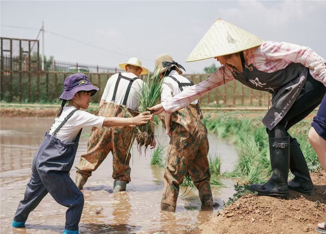 飞鸟与鸣虫农场   
