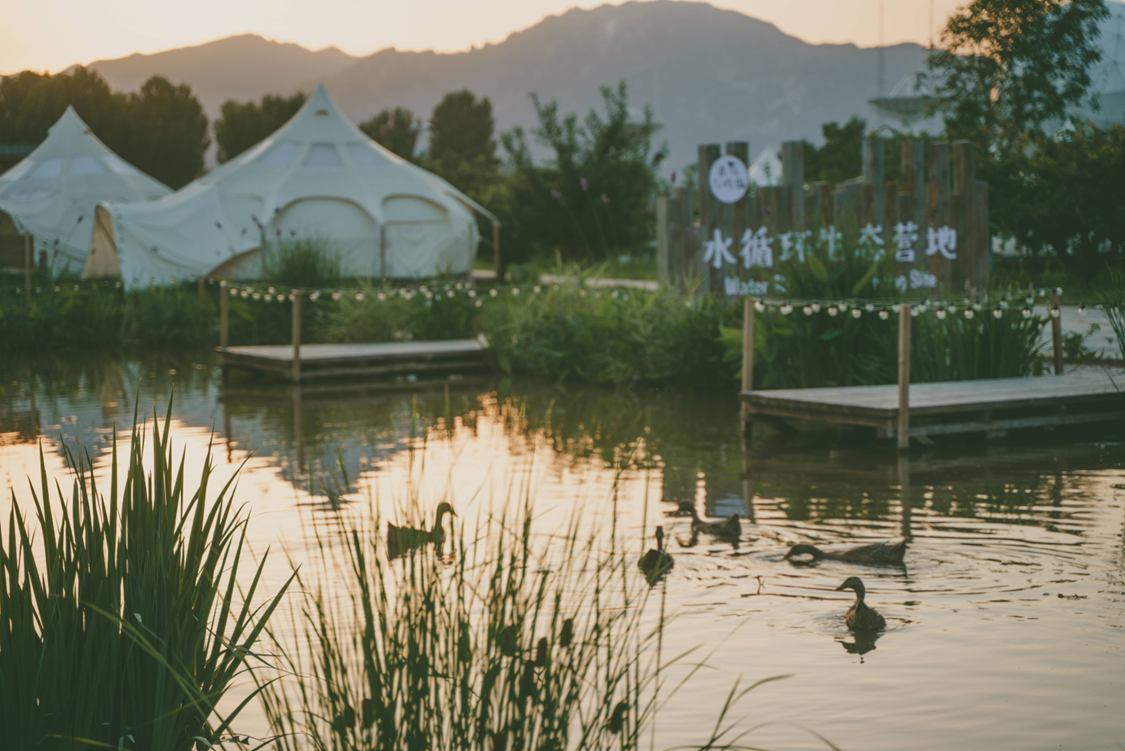 北京飞鸟与鸣虫农业发展有限公司 