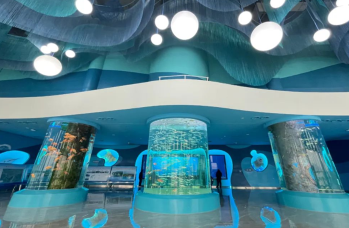 中国江豚湾生态旅游探索项目