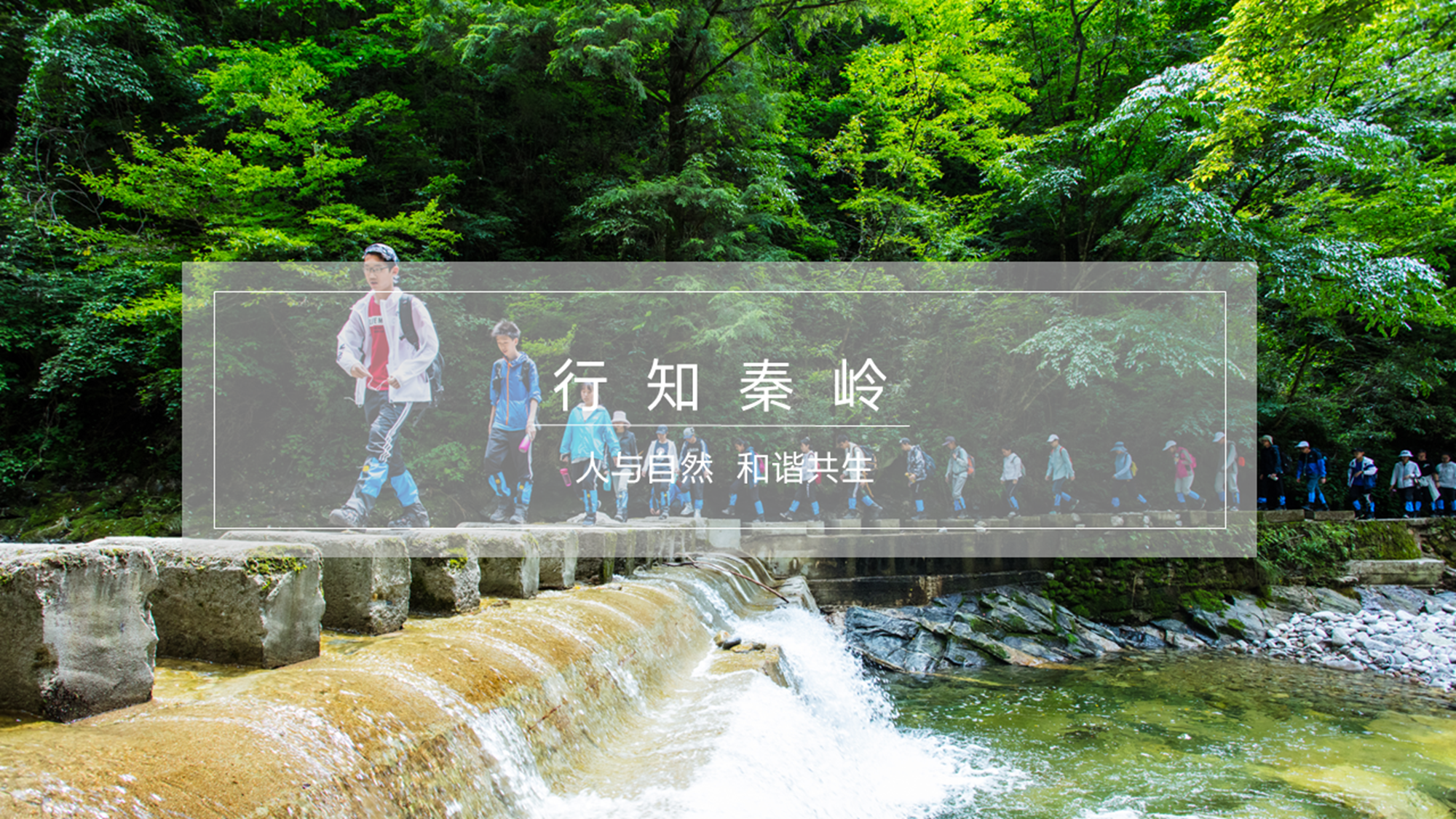  西安格致明诚教育科技有限公司