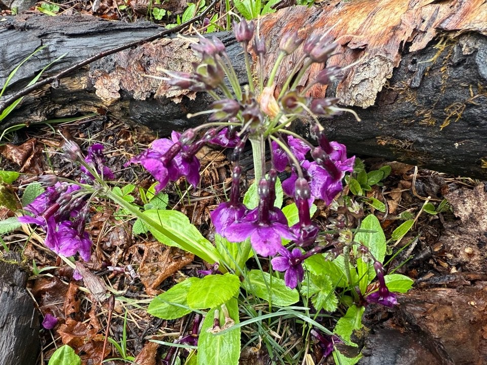 黄河源自然圣境生态文化行