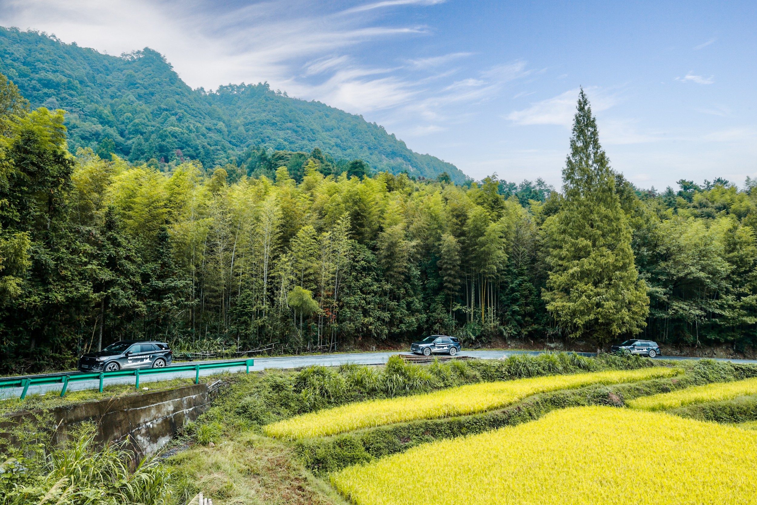 黄山九龙峰社会公益型保护地生态探索之旅